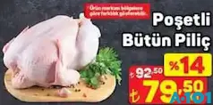 POŞETLİ BÜTÜN PİLİÇ KG POŞETLİ BÜTÜN PİLİÇ KG